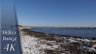 Grömitz, Germany: Strand (Beach), Ostsee (Baltic Sea) - 4K UHD Video (2160p/60p)