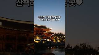 가을바람 맞으며 밤산책 하기 좋은 곳🌛 국립세종수목원