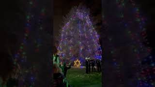 Rockwood Museum Christmas Tree lighting 2021