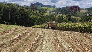 iniciando o corte de milho na fazenda!