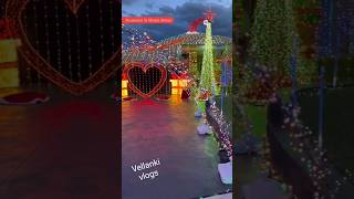 Swansona Avenue Beautiful street's and Christmas Lights #vellankivlogs #christmas #Lights