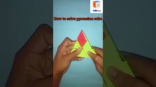 Solve pyraminx cube|| How to solve pyraminx cube || Solve cube #short