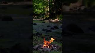 Campfire by the Peaceful River. Full 4K 3-Hour experience on my channel.