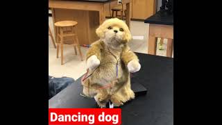 amazing dance buddy #shorts #toys