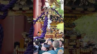 【三社祭2024】祭すみたやダイジェスト#祭すみたや #祭り #お祭り #三社祭