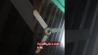 chilling fan in winter be like