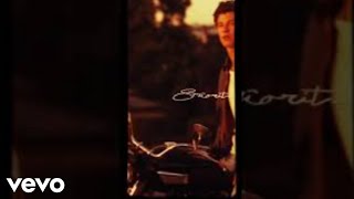 Shawn Mendes & Camila Cabello - Señorita (Official Vertical Video)