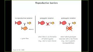 SEEM 2024 06 21 Thomas Aubier: 'Coupling between reproductive barriers during speciation'