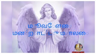 angelus pray மாதா மன்றாடு