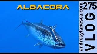 PESCA  ALBACORA 2020