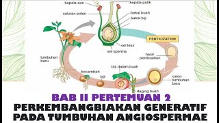 Perkembangbiakan Generatif pada Angiospermae