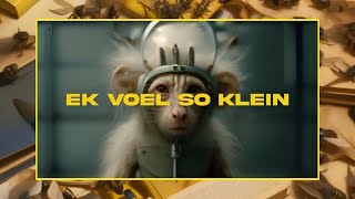 Fokofpolisiekar | Ek voel so klein (visualiser)