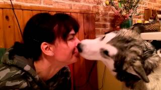 Dog kissing a lady :D