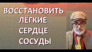 Методики для восстановления очищения бронхо-лёгочной, сердечной и мозговой систем. Новые и древние.