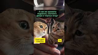 Когда твой друг любитель вина, а ты просто хочешь...