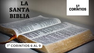 1 CORINTIOS 6, 7, 8, 9 (DÍA 292) LA SANTA BIBLIA || Audiolibro ||