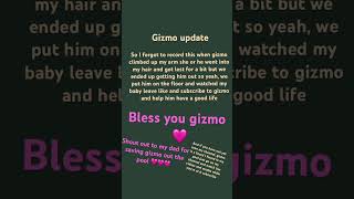 Love you gismo and comment down below if you love gizmo too