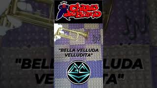 #Shorts ChicosDeBarrio "Bella Velluda Velludita"