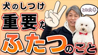 犬のしつけは、ふたつのスキルをマスターするととっても簡単にできますよ！【ドッグトレーナー】