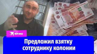 Экс-сенатор Рауф Арашуков предложил взятку сотруднику колонии «Чёрный дельфин»