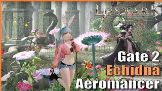 Providing A Bath. Echidna Gate 2 (Wind Fury Aeromancer) | Lost Ark