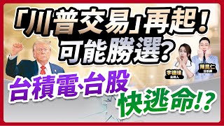 【「川普交易」再起！可能勝選？台積電、台股快逃命!?】2024.10.21 台股盤後 (CC字幕)