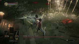 Sl1 No roll/block/parry Halflight Spear of the Church - Dark Souls III