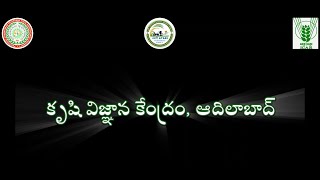 KVK, Adilabad Pre Kharif Awareness for Farmers II వానాకాలం సాగు-ముందస్తు సూచనలు II కేవికే, ఆదిలాబాద్