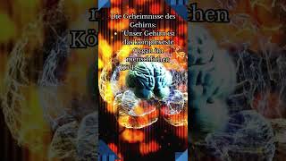 Geheimnisse des Gehirns #gehirn#wissenswertes#information#körper#mensch#psychologie#wissenschaft