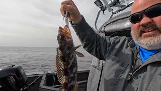 Westport bottom fishing in a small boat