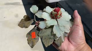 Estate Sale Treasure Hunt!!  Only $24 Jade Flowers