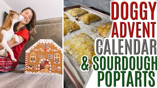 Feeling Better & Catching up with a Dog Advent Calendar and Sourdough Baking making POPTARTS