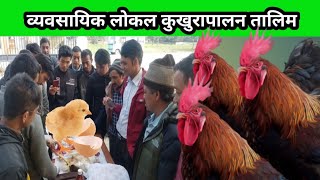 तालिम  लिएर लोकल कुखुरापालनमा लागेका किसानहरूको बिजोग अवस्था #local kukhura palan talim #poultry