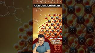 Oligosaccharides | structure And classification | Biomolecule | class 11th | NEET BIOLOGY | #neet