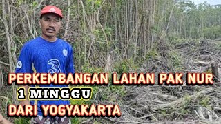 PERKEMBANGAN LAHAN TRANSMIGRAN ASAL YOGYAKARTA DALAM 1 MINGGU DI TEMPIRAI SELATAN KAB PALI