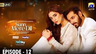 Sunn Mere Dil - Episode 12 - [Eng Sub] - Wahaj Ali - Maya Ali - Review