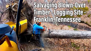 Salvaging Blown-Over Timber - Logging Site - Franklin Tennessee