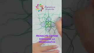 Нейрографика // Neurografica // Нейролотос // #нейрографика