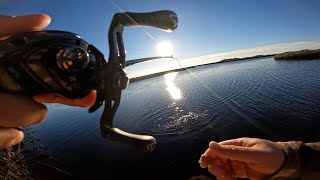 Saltwater BFS Fishing With The Ark Gravity BFS