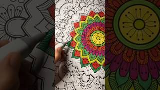 PART 8 flower art mandala #fyp #art #mandalaartlover #flowerart #colors  #satisfying #viral