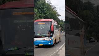 NAN GANTENG Sr3 BUS TRANSPORT KUDO GADANG🔥👍👍