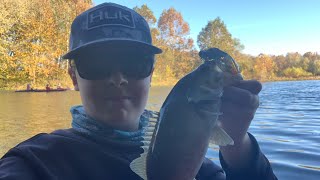 Quick Fall Afternoon Bass Fishing Trip To  Lake Springfield