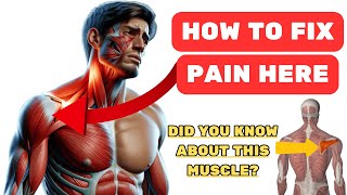 Anterior Shoulder Pain Main Cause & How To Fix