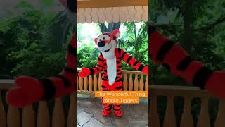 The Wonderful Thing About Tiggers in Hong Kong Disneyland 5-6-2022 #disney #shorts #winniethepooh