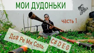 Мои диджериду | Карнаш