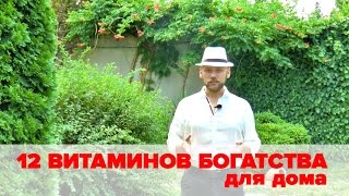 12 Витаминов богатства для дома