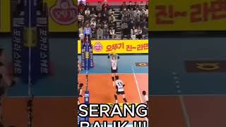 Rally Panjang Di Akhiri Tipuan Cantik Megawati #volleyball #shortsviral #redsparks #usa