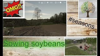 We sow the HUGE field| Swisstouch Timelapse #2