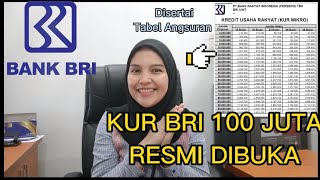 ||KUR BRI 100 Juta Tahun 2022||DISERTAI TABEL ANGSURAN