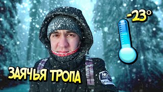 ЗАЯЧЬЯ ТРОПА. СКАЗОЧНЫЙ ЛЕС В -23°. СУГРОБЫ ПО КОЛЕНО. ПОХОД БЕЗ СНАРЯЖЕНИЯ. ПЕРВЫЙ ПОХОД В 2021.